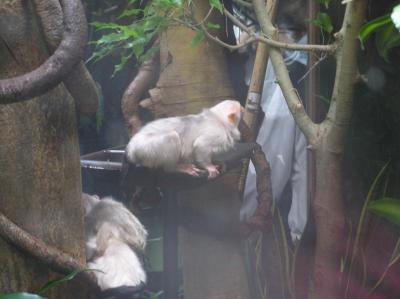 centralparkzoo5