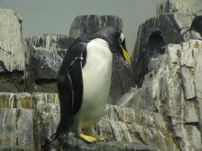 centralparkzoo2