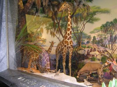 museum5