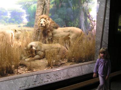 museum8