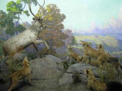 museum13