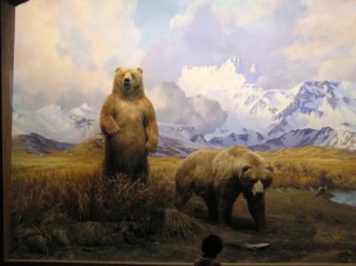 museum15