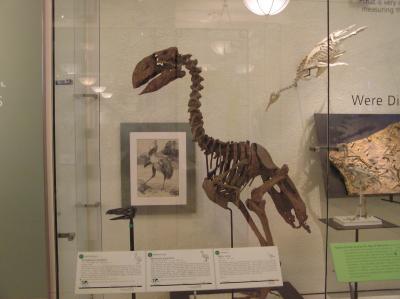 museum16