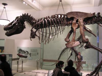 museum17