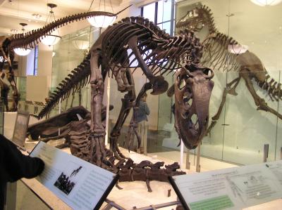 museum18