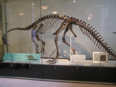 museum19