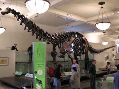 museum20