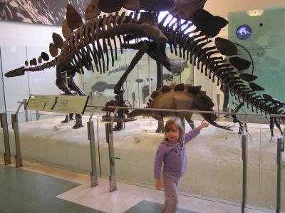 museum22