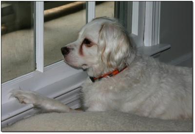 waiting for Mom to come home..