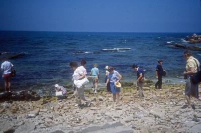 Looking for Shells and Rocks by the Mediterranean Sea