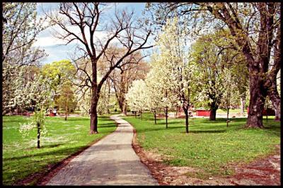u44/bobleary/medium/28518217.spring.jpg