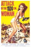 2004050350ftwoman.jpg