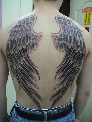 Wings