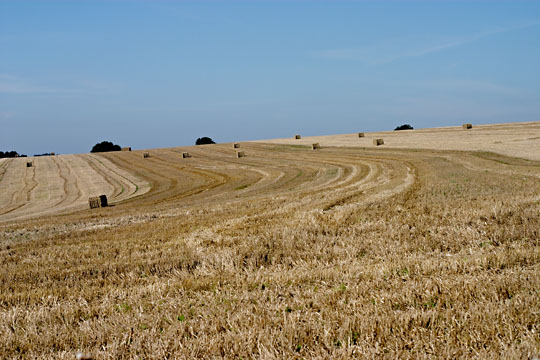 CRW_3214.jpg