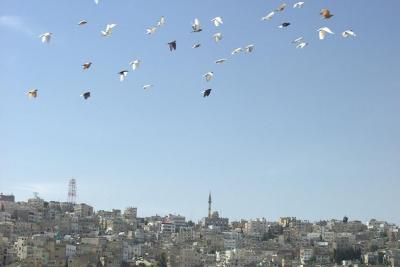 023 Amman, cityscape