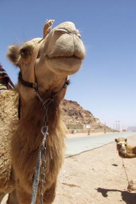 046 Wadi Rum