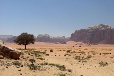 049 Wadi Rum