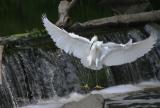 Perfect landing