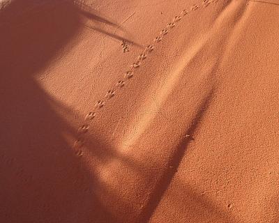 Tracks