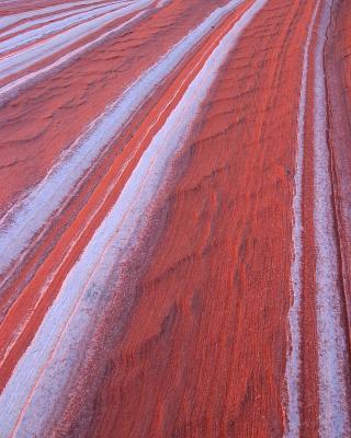 Striations #9