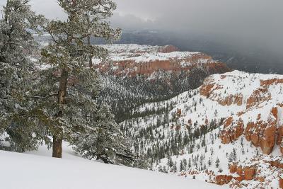 Approaching Winter Storm, Bryce Canyon