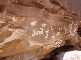 petroglyph  200year old of hunting sheep