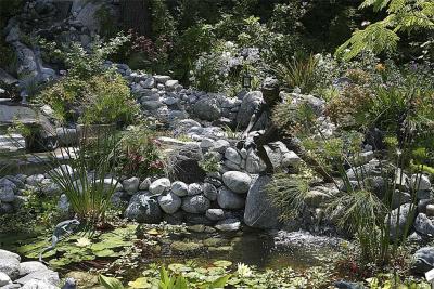Pond