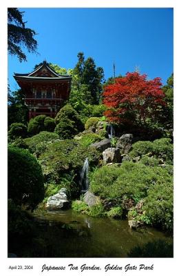 Japanese Tea Garden - Golden Gate Park