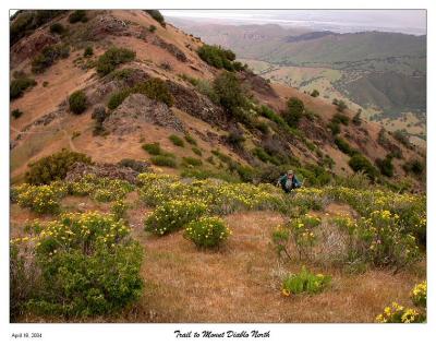 Dave hiking thru the Yellow