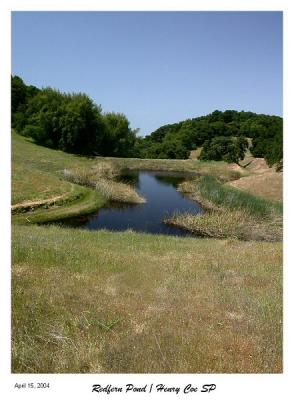 Redfern Pond