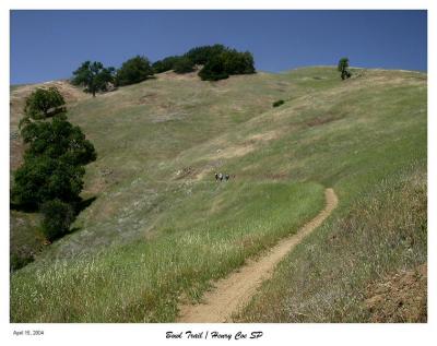 Bowl Trail