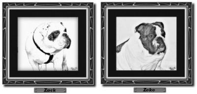 Z&Z Portraits