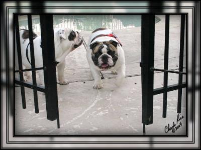 2. Z&Z At The Gate!