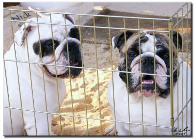 10. Z&Z In Sandbox