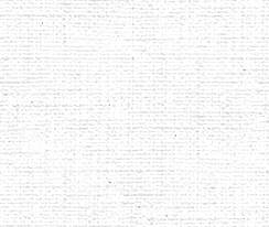 canvas background.jpg