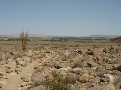 borrego_palm_canyon