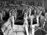 Wrapped Chairs