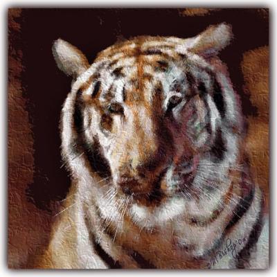 Tiger-Painted-Impressionist.jpg