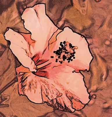 Hibiscus-pOpArTiSt.jpg