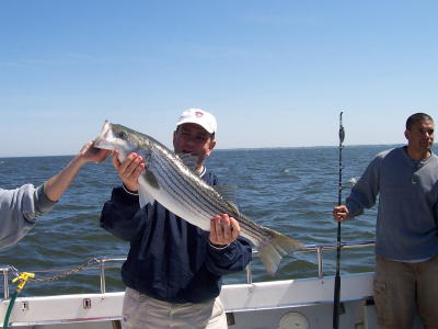 u44/captkerry/upload/28544468.100_02462.JPG