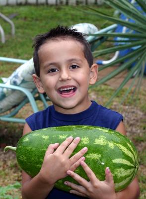 happiness is picking your first watermelon