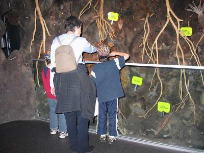 Next, everyone was shrink to one inch in height, and we went underground