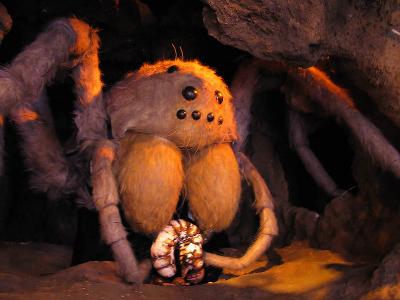 Jacob's favorite exhibit