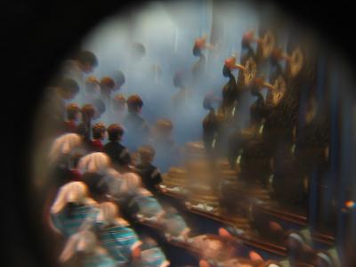 Through an insect eye