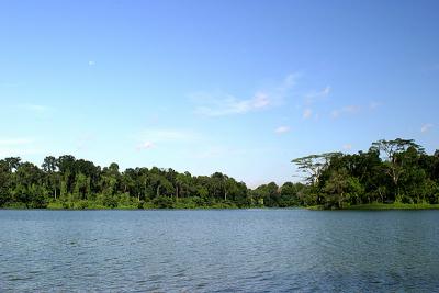 IMG_5374.jpg