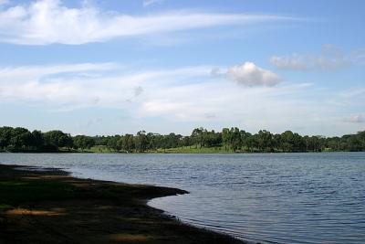 IMG_5375.jpg