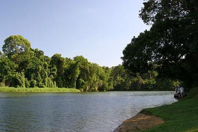 IMG_5378.jpg