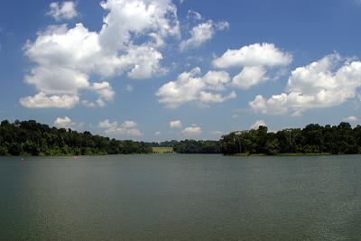 IMG_5475.jpg