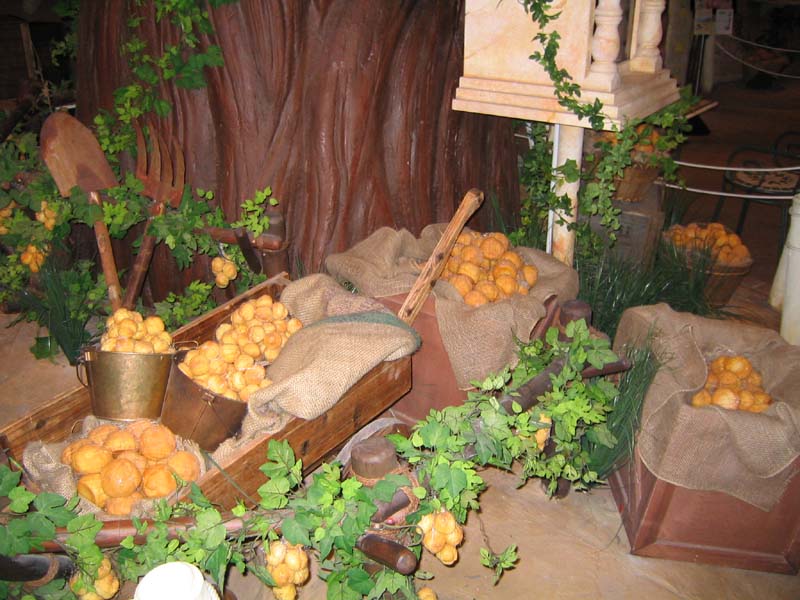 Choux Garden