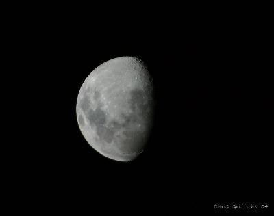 CRW_1696_CR.jpg